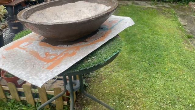 Creating a new home for my Privet stump,Ligustrum genus смотреть онлайн