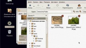 Linux Fedora Core 4. Работа с каталогами и файлами