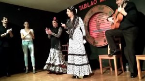 Tablao Mirabra. Flamenco