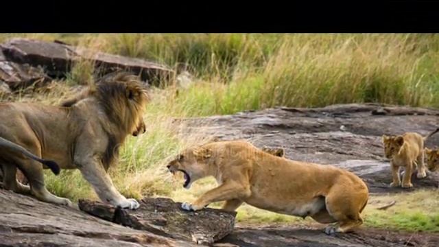 Львы-людоеды смотреть онлайн