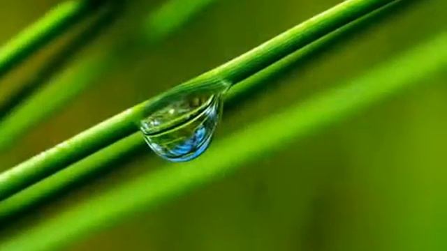 OM NAMO NARAYANAYA смотреть онлайн