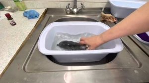 ⭐️ БЕРЕТКА ⭐️ ПОСТИРАТЬ