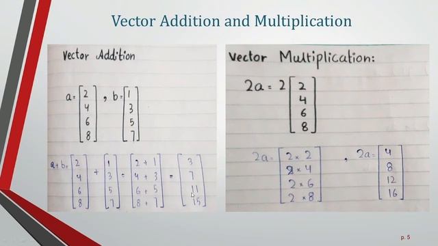 Lec-15 Linear Algebra for ML: Intro to Vectors | Section-6 Linear Algebra for Machine Learning