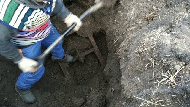 Зарабатываю металлокопом на новогодний праздничный стол, лопата рулит!