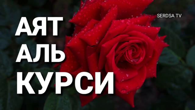 Аят аль курси самый великий аят Корана - слушай для защиты утром и вечером