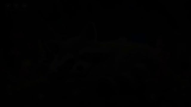 Relaxing sleeping music 🎵 Delicate Harmony for a Peaceful Slumber смотреть онлайн