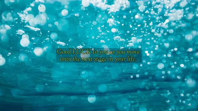 Best Wishes for Future смотреть онлайн