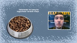 Как выбрать корм для щенка?