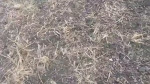 Теплица из труб пвх и цены на материал.ч2.