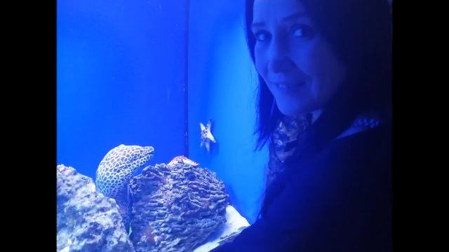 Две сестры и две подружки! смотреть онлайн