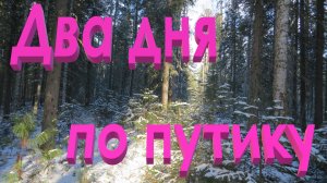 Два дня по путику взвожу капканы медведь повредил установки вороны клюют кедровые орехи