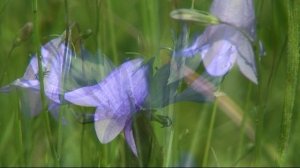 Окрестности Епифани