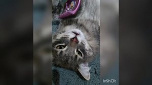 А я лягу-прилягу