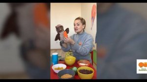 Английский язык для детей от 3 до 5 лет. Урок №1