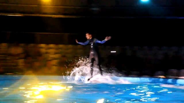 Дельфинарий Немо Dolphinarium night show