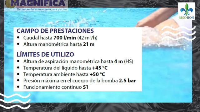 Bomba Piscina Magnifica   Pedrollo смотреть онлайн