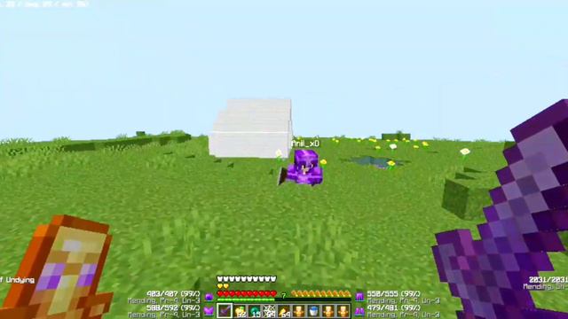 HOW I BECAME KING OF THIS MINECRAFT SMP