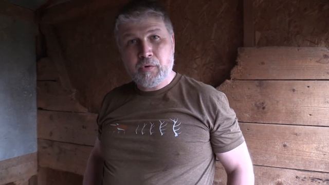 Продаются щенки западносибирской лайки!