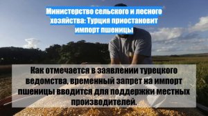 Министерство сельского и лесного хозяйства: Турция приостановит импорт пшеницы