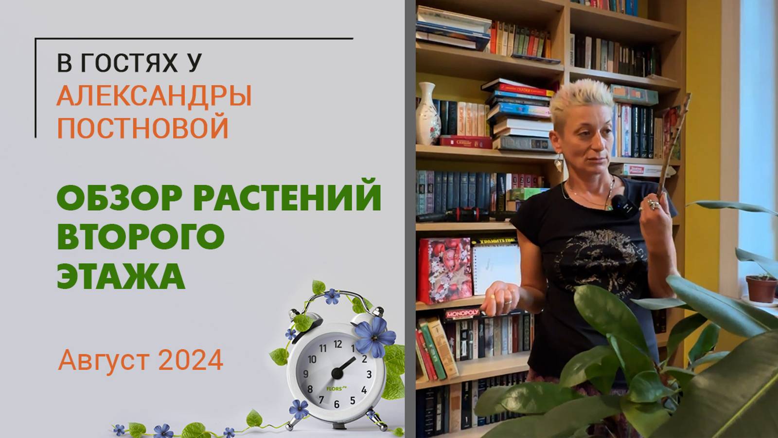 В гостях у Александры Постновой. Обзор растений второго этажа. Август 2024. Папоротники, фикусы и…