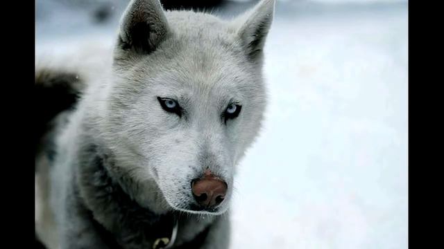 На моей луне смотреть онлайн