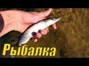Необычная рыбалка на небольшой речке!