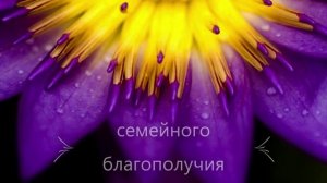 С Днем Рождения, Валентина! Видео поздравление, музыкальная открытка для Вали, скачать бесплатно!