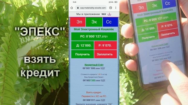 M117 Целесообразная финансовая система. смотреть онлайн