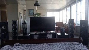 Paradigm Monitor 11V2