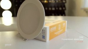 Светильники серии Smart Home Downlight бренда Gauss