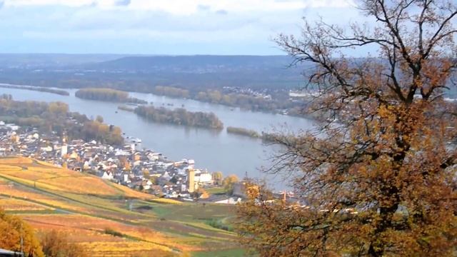 Things to do in Niederwald monument in Rudesheim Germany.