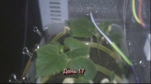 АСУ ТП базе на Arduino Mega 2560