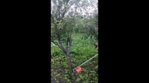 Триммер Patriot PT555