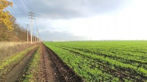 Новая дорога Почтовый тракт в Краснодаре: история дороги и что там будет