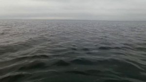 Нежданный улов. Креветка есть. Рыбалка на Сахалине. Sakhalin Fishing.