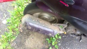 Honda Dio 34 прогазовка с отсечкой