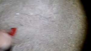 НАШЕЛ СЕКРЕТНОЕ МЕСТО НА ПЛЯЖЕ И КОПАЛ ЗОЛОТО ВСЮ НОЧЬ! Пляжный коп с металлоискателем