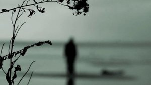 Почему я о тебе вспоминаю...