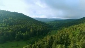 Давай мы все начнем сначала