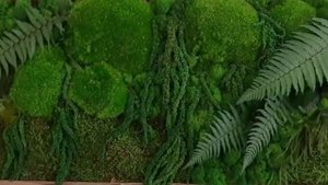 Панно из стабилизированного мха и растений
