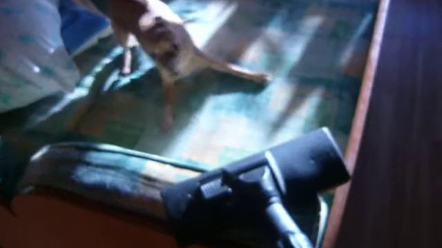 Пелесосовое бешенство. смотреть онлайн