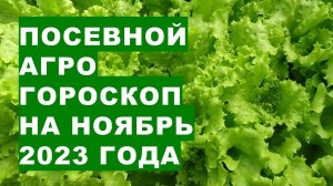 Посевной агрогороскоп на ноябрь 2023 года. Sowing agrohoroscope for November 2023