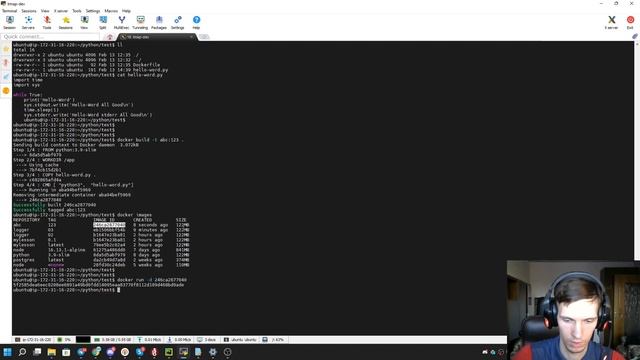 Докеризация приложения. Python + docker logs.