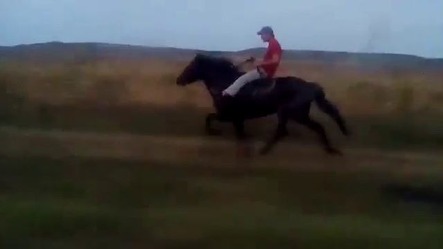 Иноходец ...89380312151 продаетса