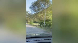 Абхазия август 2023