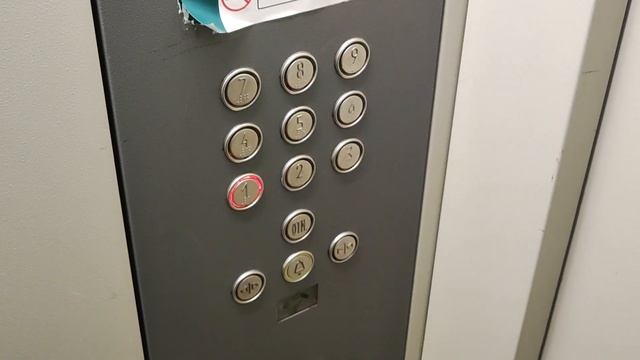 ЛИФТ ECOMAKS 400 КГ 5 ПАССАЖИРОВ (ЩЕРБИНКА, КОСМОНАВТОВ 5) смотреть онлайн