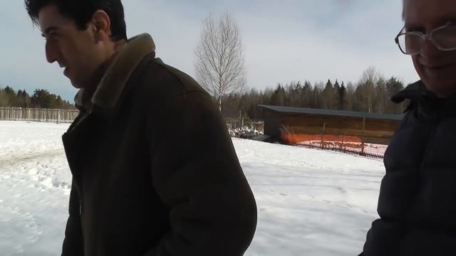 СОДЕРЖАНИЕ ГУСЕЙ / В хозяйстве Березино. Яйценоскость, корм, уход, ошибки птицеводов.