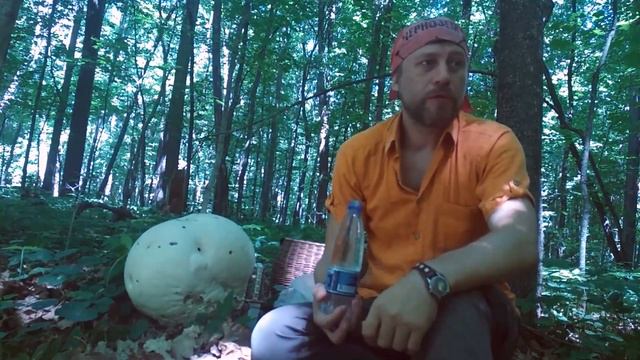 Головач гигантский 8 июня 19г. Или как не просто запихать друга в рюкзак