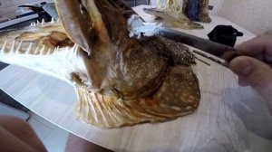 чучело из головы щуки