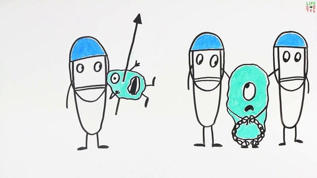 Как работают антибиотики и могут ли они перестать действовать?